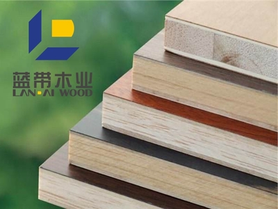 广西蓝带木业+木业公司logo、VI设计