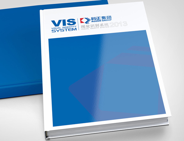 广西科正集团+评估公司VI设计