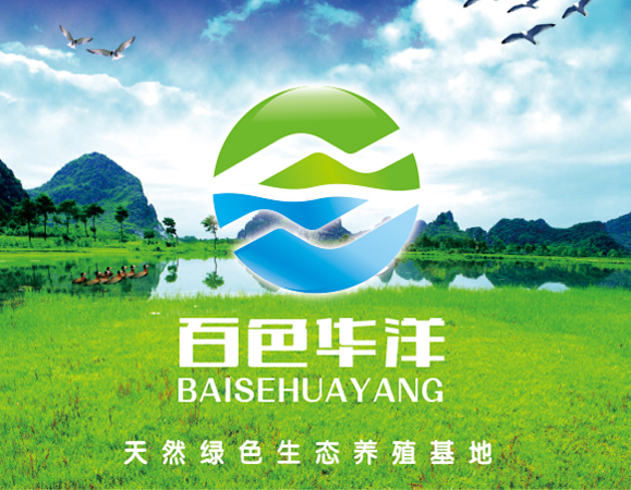 百色华洋水产商标设计