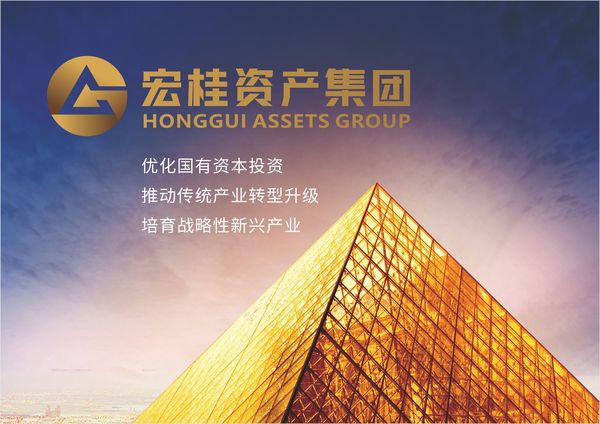 广西宏桂资产管理集团logo设计